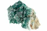 Green, Fluorescent, Cubic Fluorite Crystals - Madagascar #238381-2